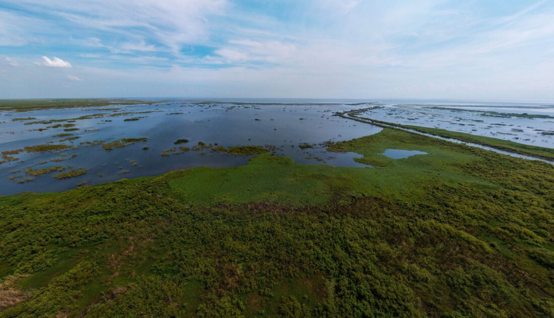 LOSOM delayed for examination of red tide impact News, Sports, Jobs